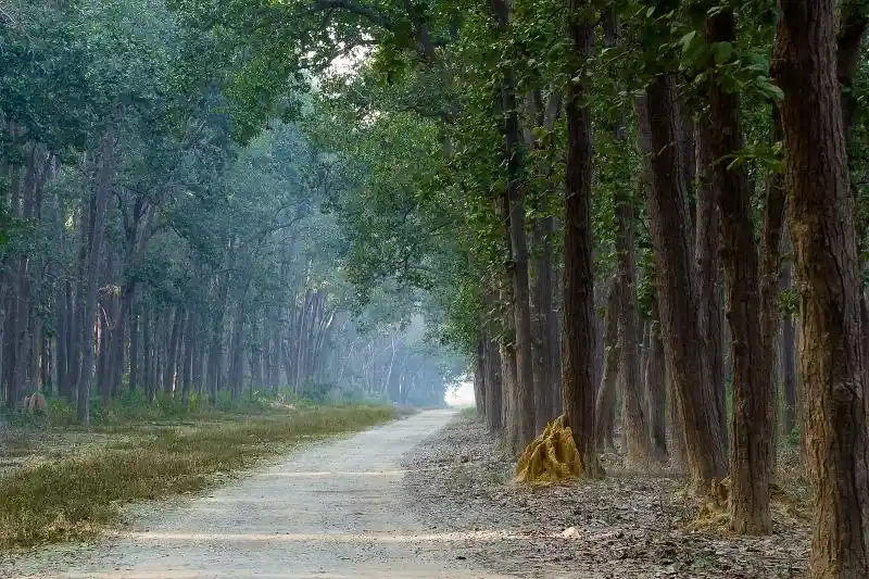 jim corbett national park taxi service safari travel india