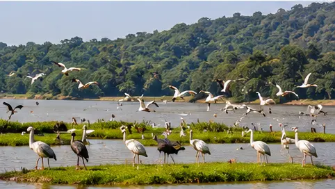 It is a very famous place Mansa Devi Sanctuary in panchkula, Hire a car to view it