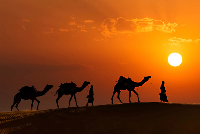 rajasthan tour taxi service india desert travel