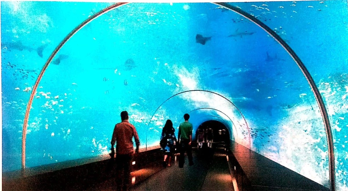 science city taxi service travel experience india    