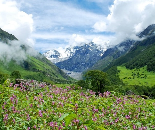 valley of flowers uttarakhand taxi service nature travel