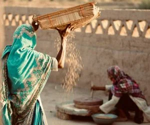 punjab village taxi service travel india