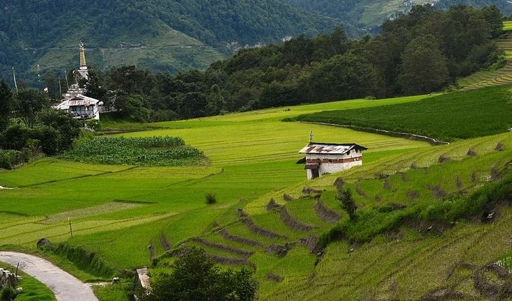 ziro valley arunachal pradesh taxi service travel india