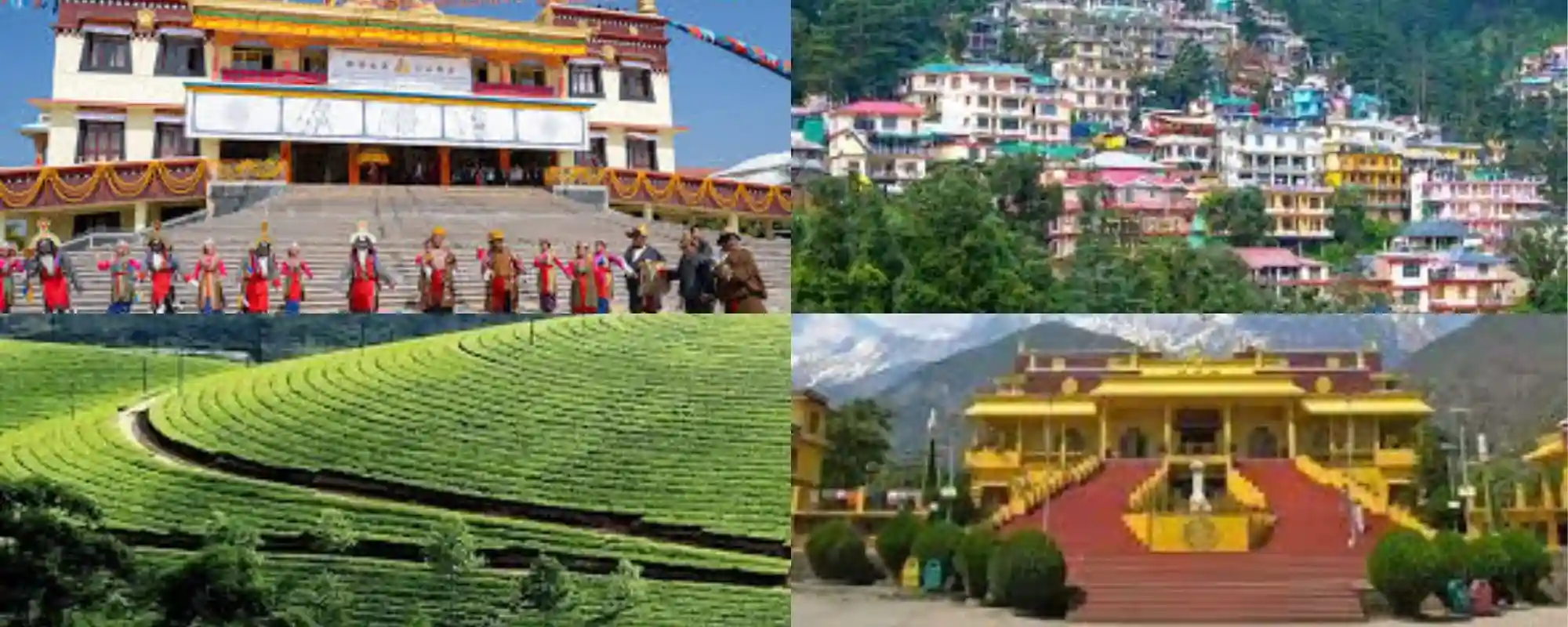 Luxury festival cab service with premium cars during Indian festivals