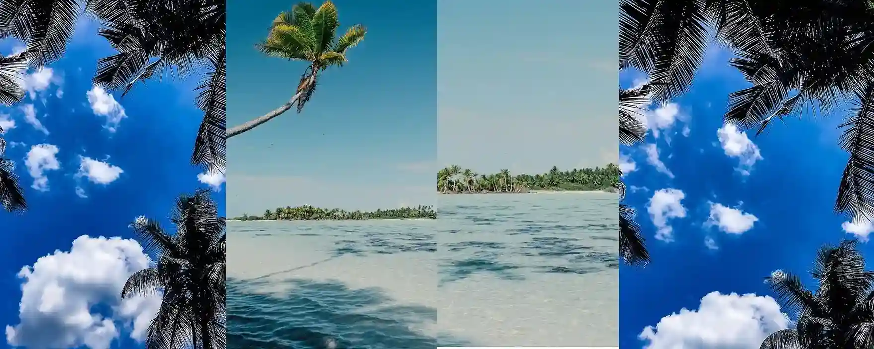 Munnar tea gardens hills Kerala scenic road trip